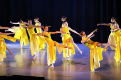 20   Fusion 20